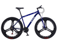 MTB-S1-29